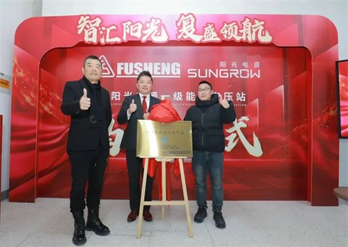 陽光電源揭牌儀式圓滿成功(圖1)