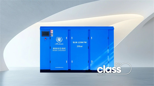 博萊特BLW無油中壓系列的獨(dú)特魅力是什么?(圖2)