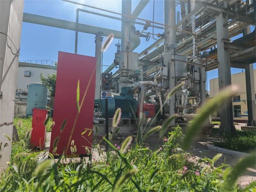 永坪煉油廠兩臺VOCs液環(huán)壓縮機(圖1)