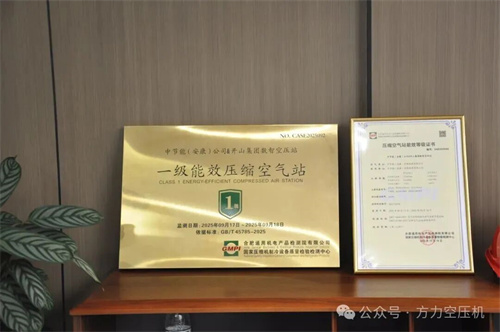 央企攜手共建綠色低碳標(biāo)桿項(xiàng)目 陜西中節(jié)能環(huán)?？萍加邢薰?圖1)